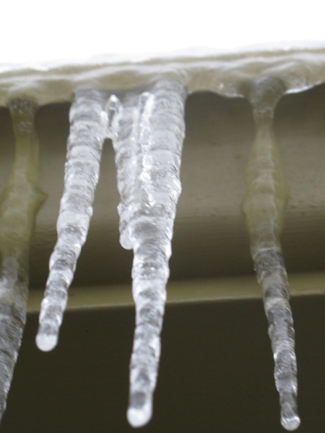 Slightly blurry photo of icicles