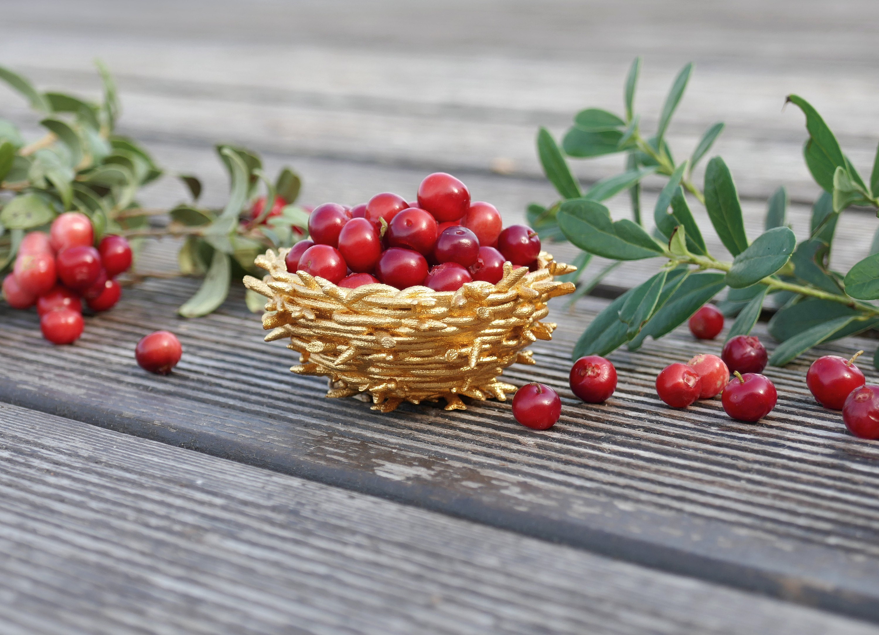 3D printed Gold Nest full of cranberries