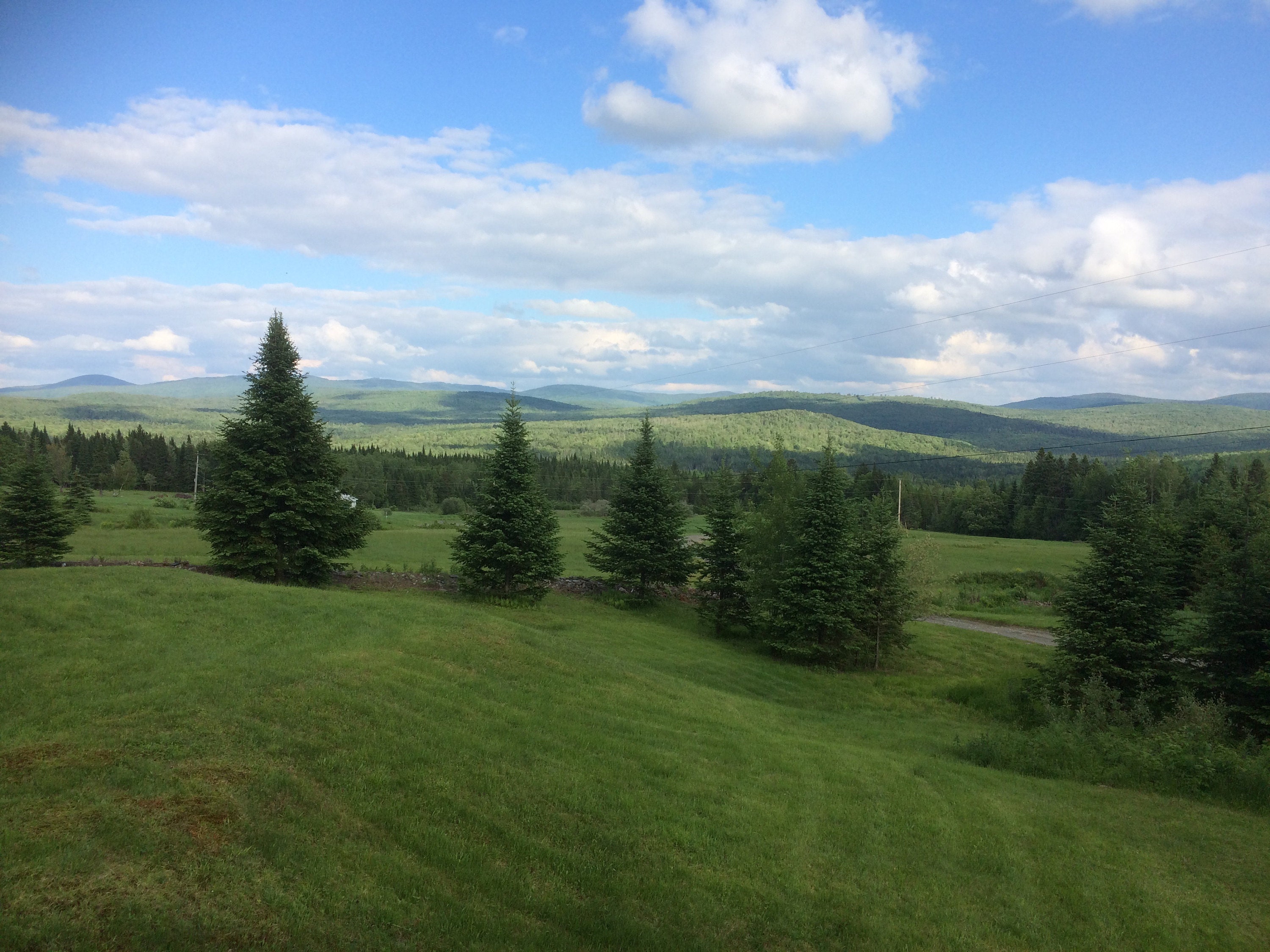 Final Look at our view