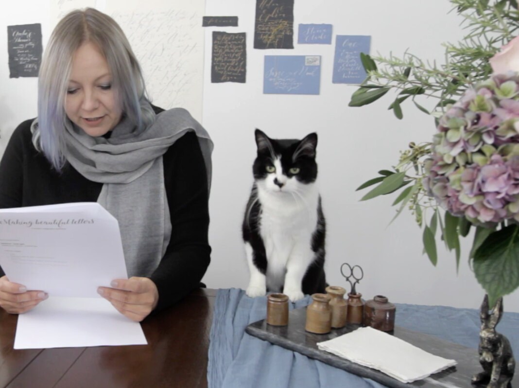 calligraphers cat