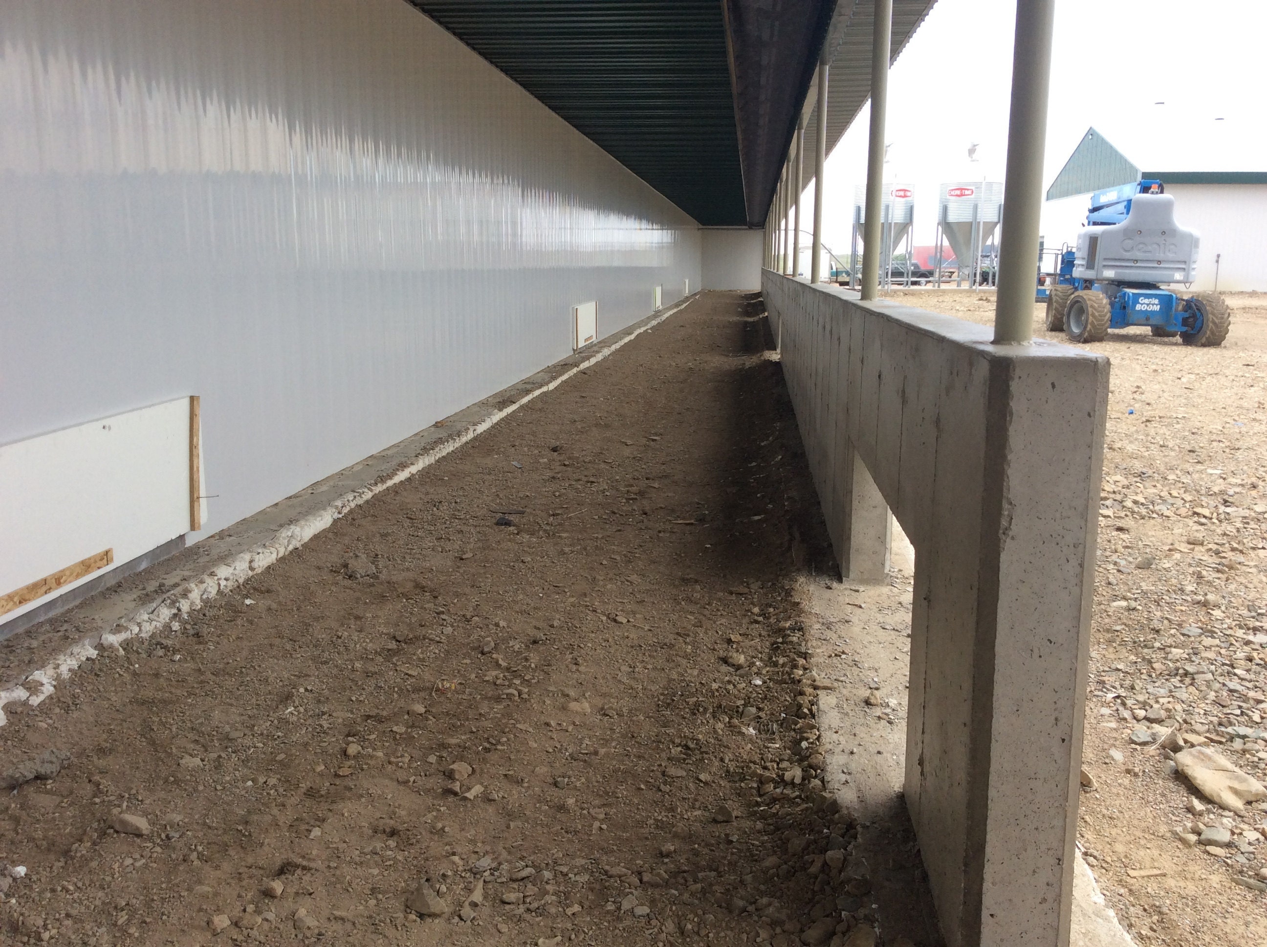 Outdoor area for free range commercial chickens