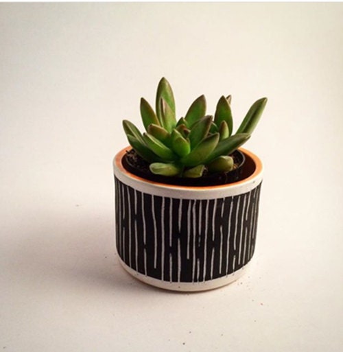 planter