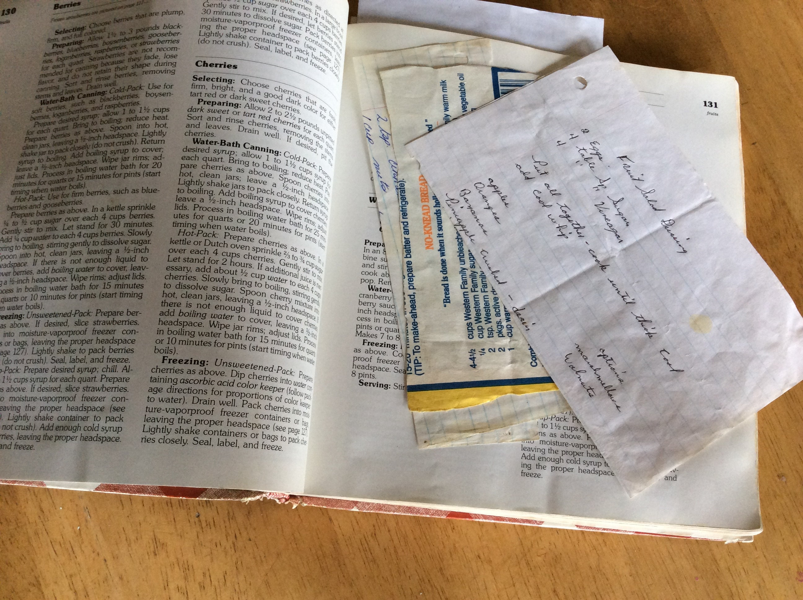 Notes and recipes in old book