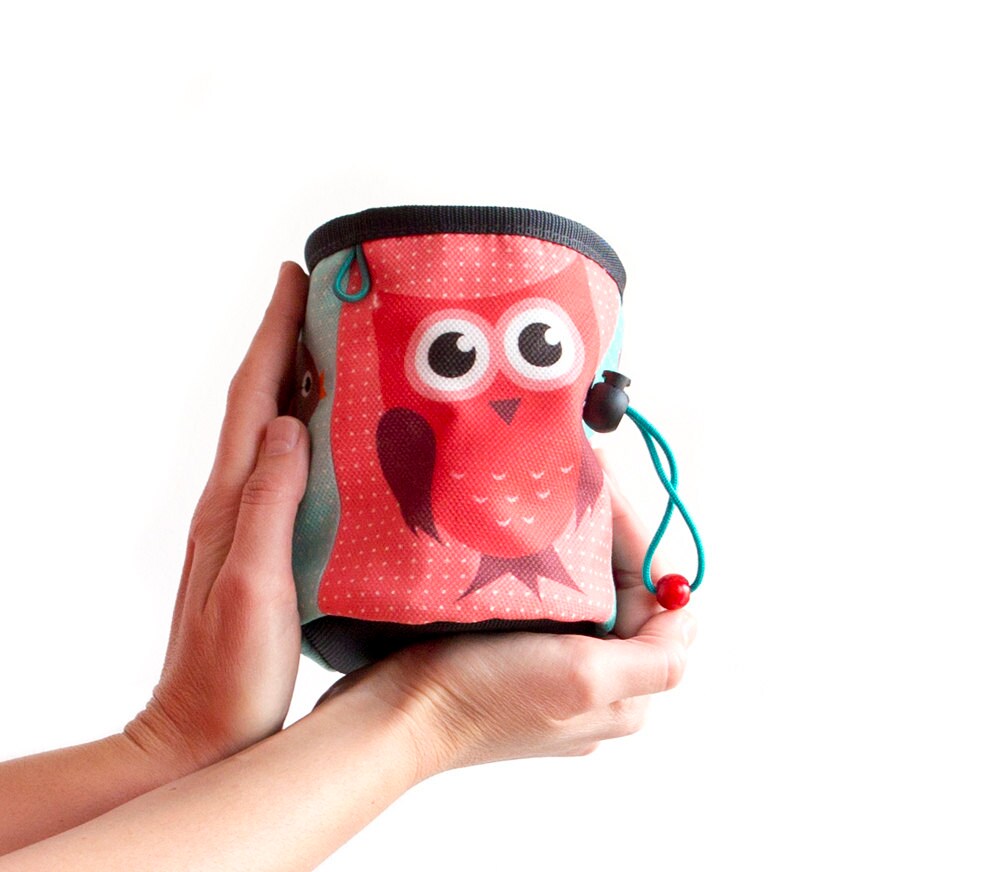 our handmade cool chalk bag with pink owl, climbing bag