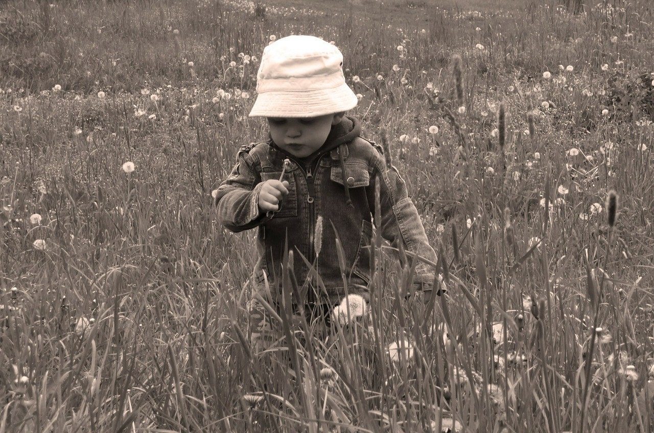 child, Field of grass, sensory, smell, sight, outdoor, learning