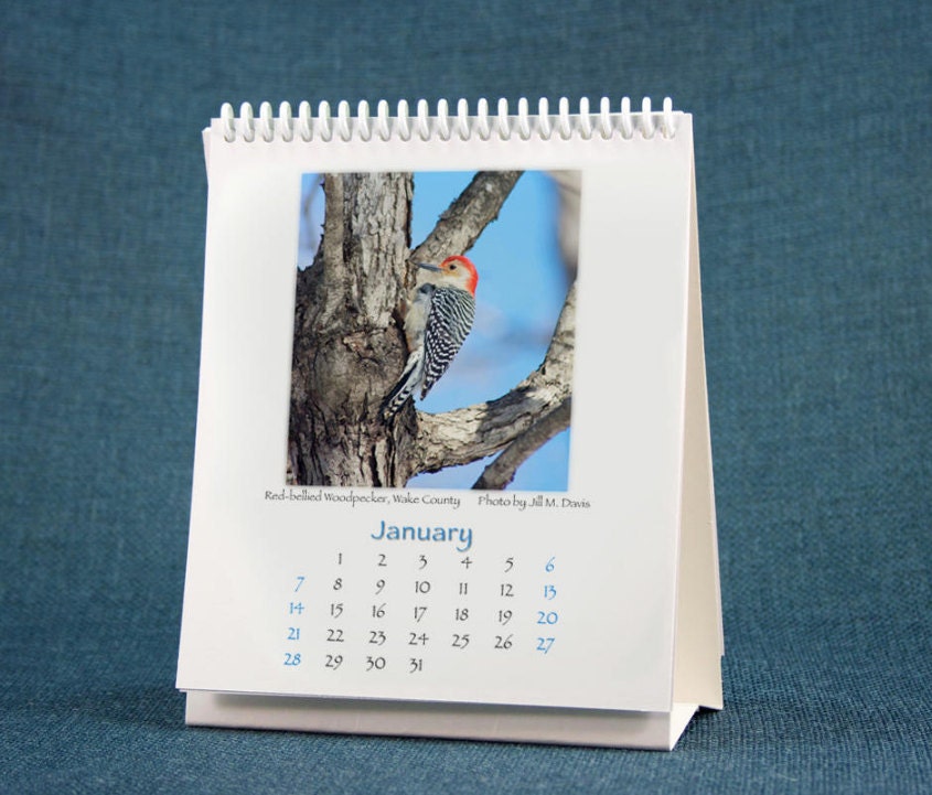 January calendar page, featuring Red-Bellied Woodpecker