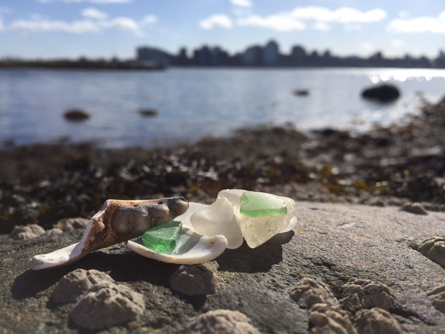 sea glass dartmouth waterfront halifax skyline beachcoming