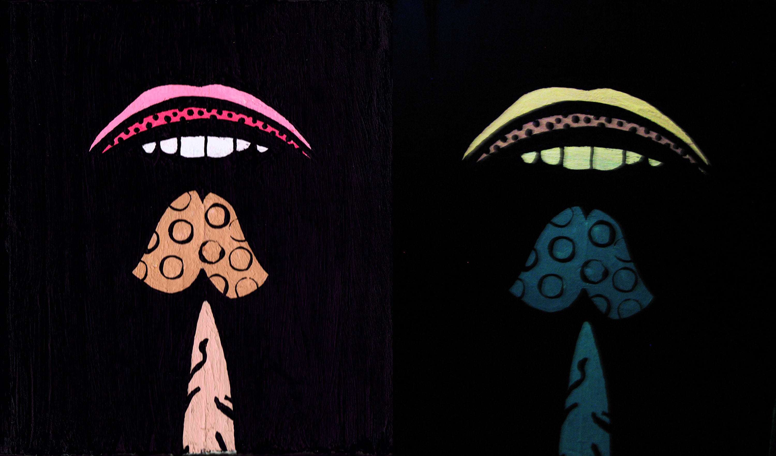Tasting Mushrooms by CRD Larson under normal light (right) and black light (left)