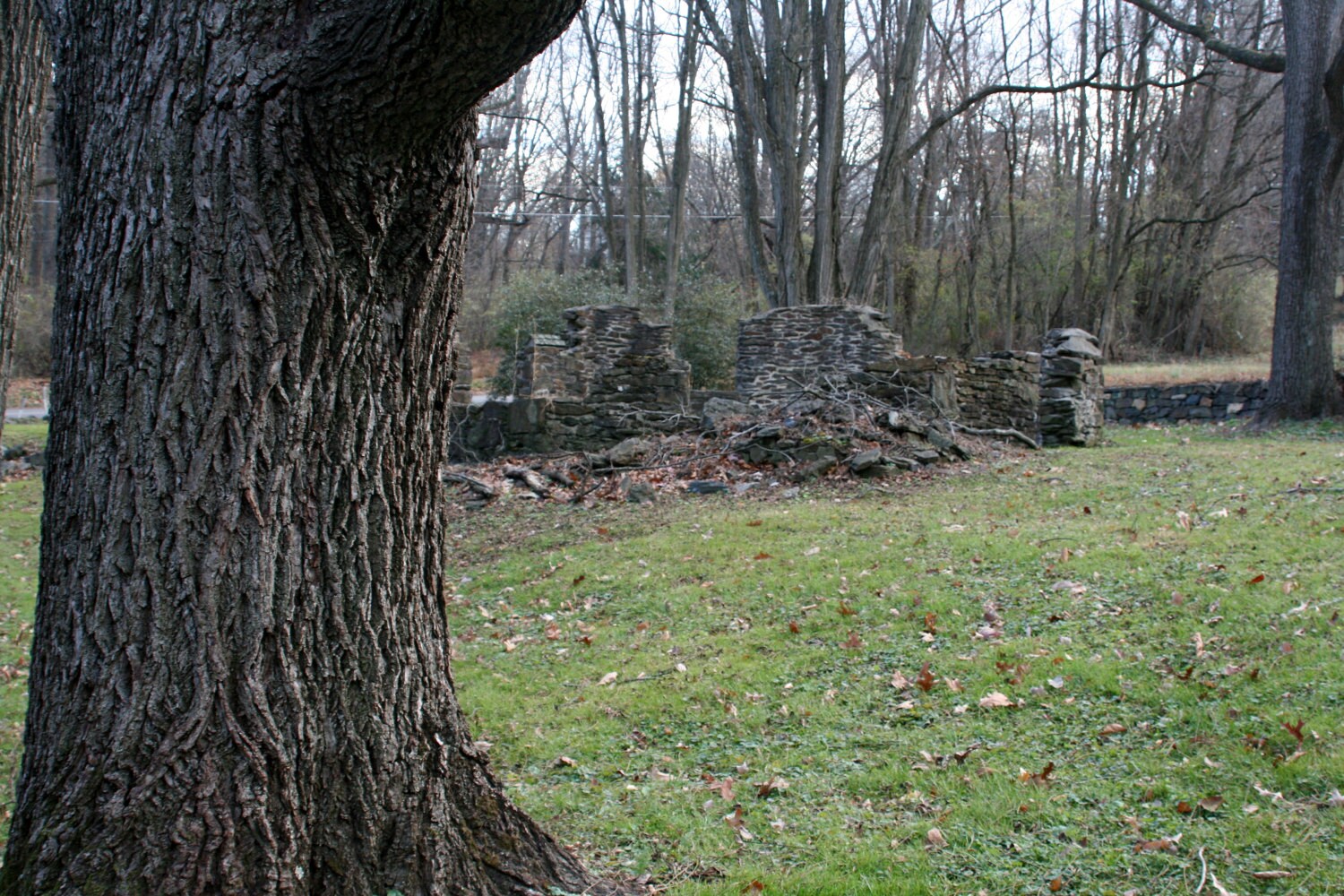View of the Church