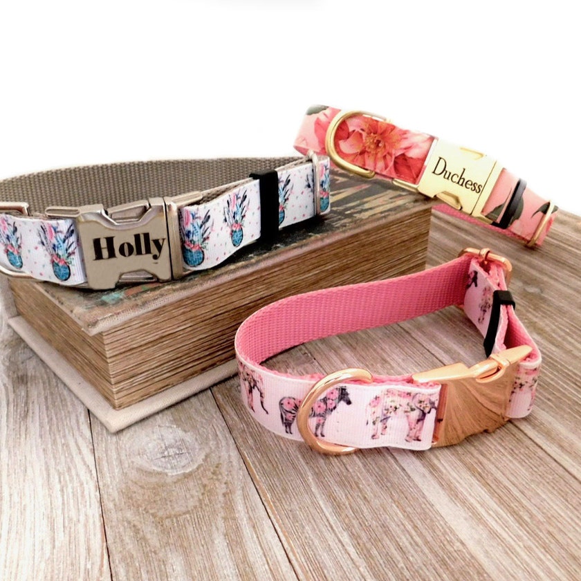 MuttsnBones Unique Dog Collars Leashes and More by MuttsnBones