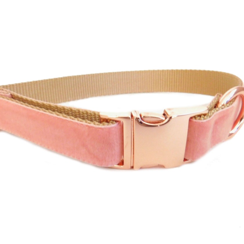 MuttsnBones Unique Dog Collars Leashes and More by MuttsnBones