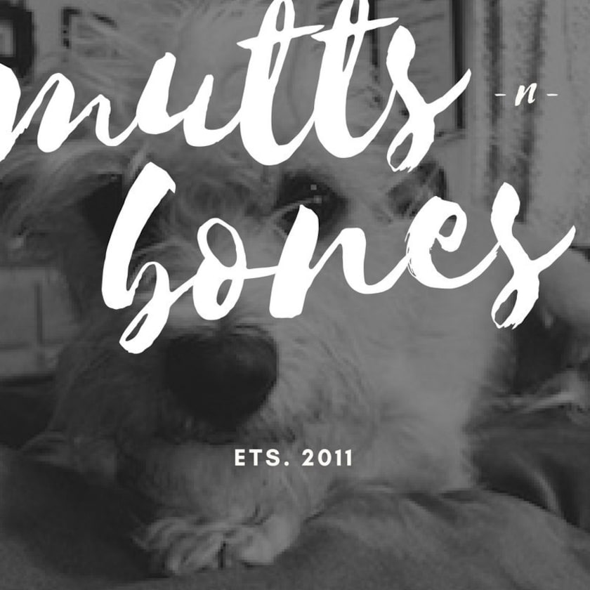 MuttsnBones Unique Dog Collars Leashes and More by MuttsnBones