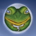 FullFrogMoon shop avatar