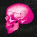 PinkSkullCA shop avatar