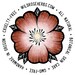 WildRoseHerbs shop avatar