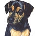 EmmasBestInShow shop avatar