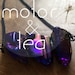 MotorandTea shop avatar