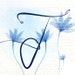 Jeraly shop avatar