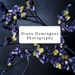 ddfoto shop avatar