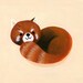 heynelliele shop avatar