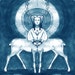 CorinaDross shop avatar