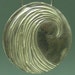 SurfingSilver shop avatar