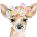 SusanWindsor shop avatar