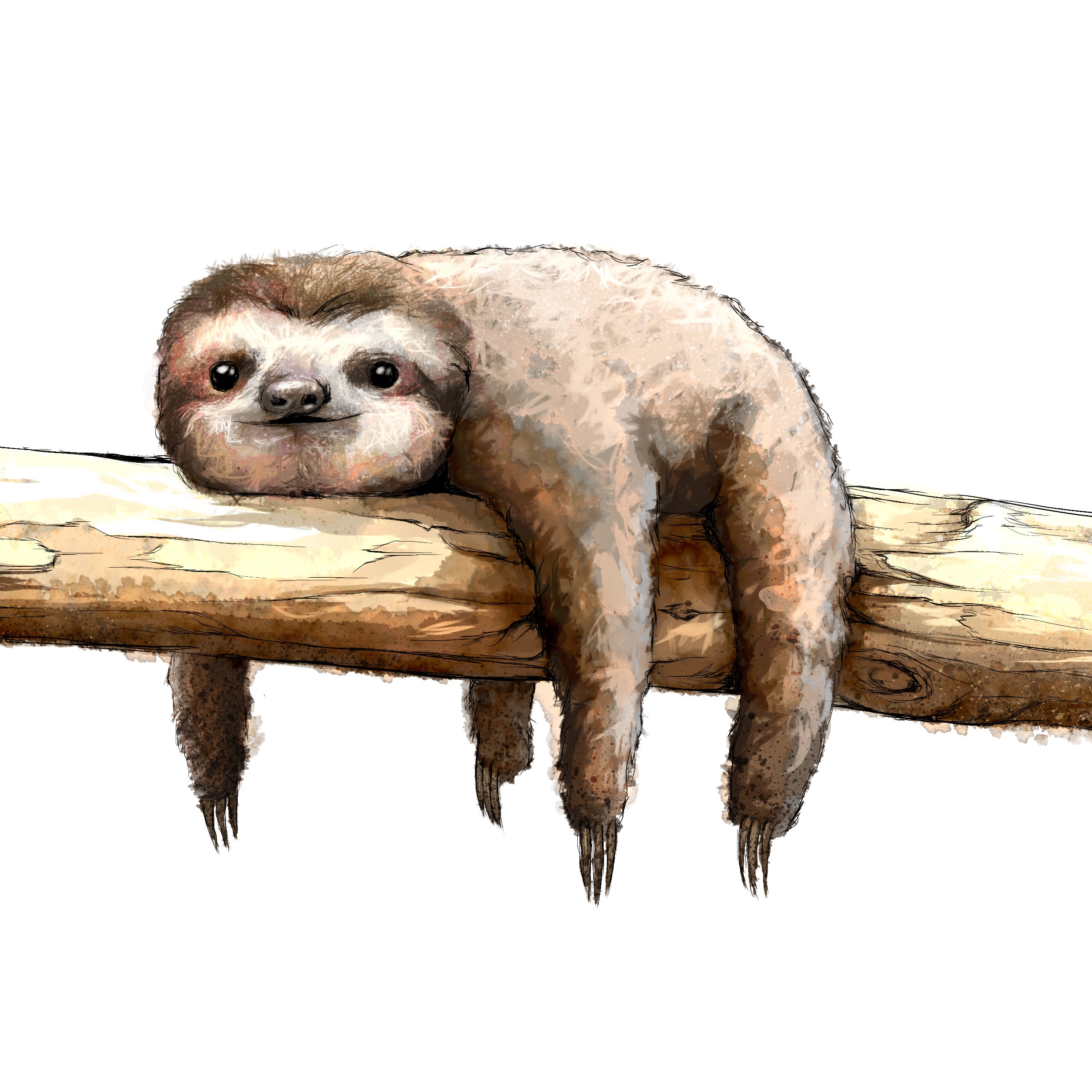 sloth print with quote great things take time