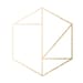 ShineHausCollective shop avatar
