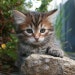 MustHaveBeenTheCat shop avatar