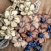 eWoodStory shop avatar