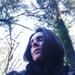 lilyofthorns