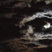 Atelier Nocturne