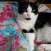 Amy
