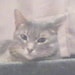 Amy