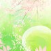sae-midori
